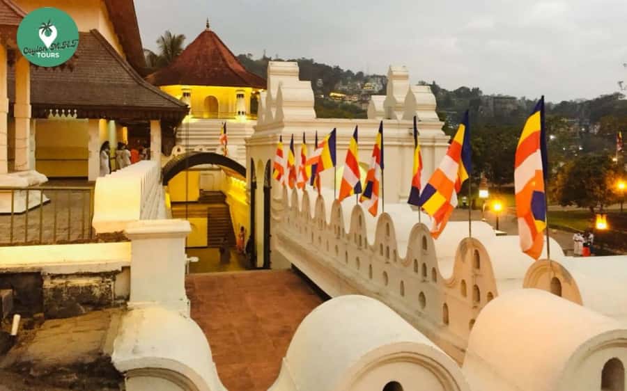 Kandy: Local Guided City Explore by Tuk Tuk - Peradeniya Botanical Gardens: orchids, spices, and Mahaweli River backdrops