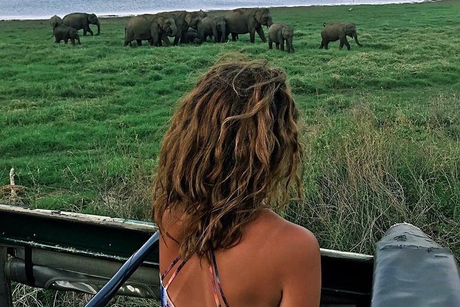 Kandy - Minneriya National park & Sigiriya Rock by tuk tuk tours - Why this Kandy day trip hits so many Sri Lanka highlights
