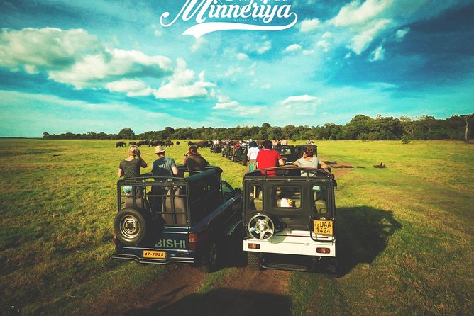 Kandy - Minneriya National park & Sigiriya Rock by tuk tuk tours - Ayurvedic village and spice-style stop: the hour where locals show how they live