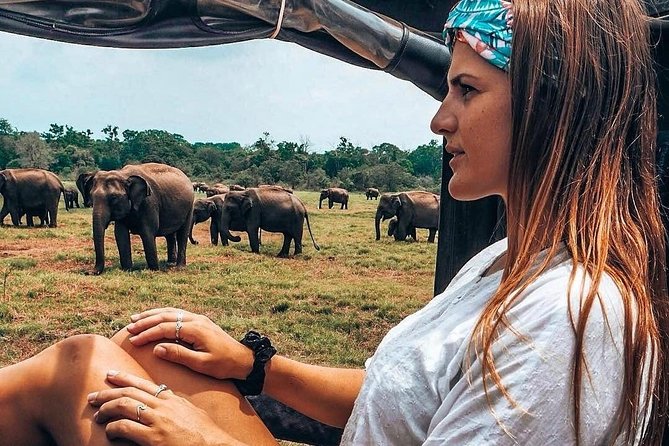Kandy - Minneriya National park & Sigiriya Rock by tuk tuk tours - Dambulla Cave Temple climb: plan your legs for stairs and heat