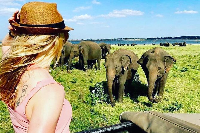 Kandy - Minneriya National park & Sigiriya Rock by tuk tuk tours - Sigiriya Rock visit plus lunch: the day’s biggest photo moment
