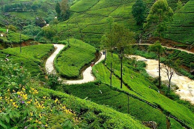 Kandy & Nuwara Eliya | 2 Days Tour - How This 2-Day Route Runs From Colombo (Pickup to Drop-Off)