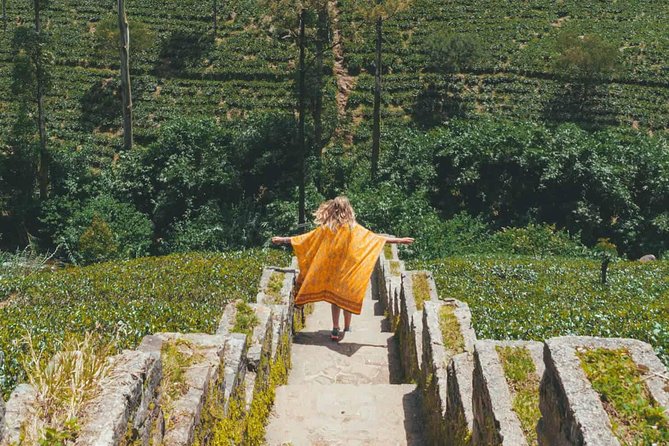 Kandy & Nuwara Eliya | 2 Days Tour - Temple of the Sacred Tooth Relic: Art, History, and Practical Timing