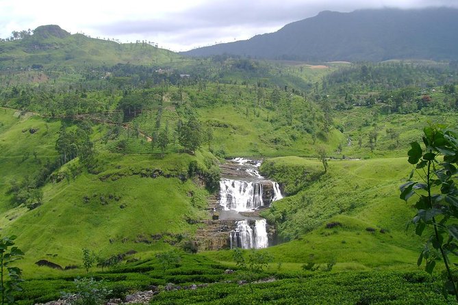 Kandy & Nuwara Eliya | 2 Days Tour - Day 2 to Nuwara Eliya: Hill-Country Roads, Tea Scenery, and Cool Air