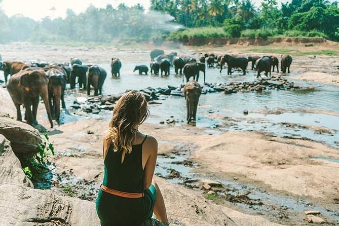 Kandy & Nuwara Eliya | 2 Days Tour - Day 1 in Kandy: Spices, Peradeniya Gardens, and a Human-Scale City Tour