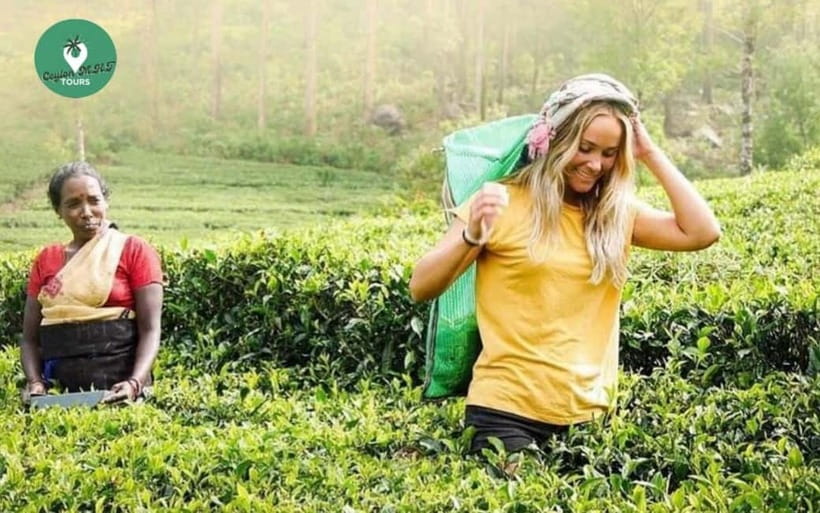 Kandy: Nuwara Eliya Day Explore by Tuk tuk with Local Guide - Kandy to Nuwara Eliya by tuk tuk, paced for real viewing time