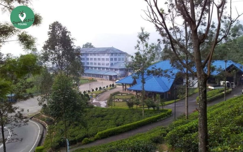 Kandy: Nuwara Eliya Day Explore by Tuk tuk with Local Guide - Blue Field Tea Factory, tea tasting, and how the process makes sense