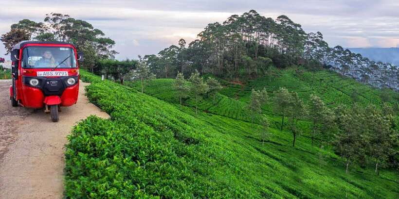 Kandy: Nuwara Eliya Day Trip - 7:45 AM Start in Kandy, Then You’re Immediately in the Hill-Country Story