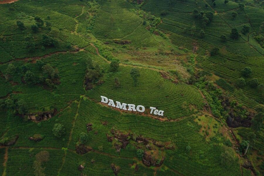 Kandy: Nuwara Eliya Day Trip - Ramboda Falls and Viewpoints, Where the Road Becomes Part of the Attraction