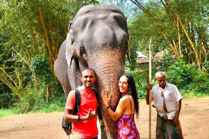 Kandy : Pinnawala Day Tour with Top Rated Local Guide - Pinnawala elephant orphanage: what you’re paying for