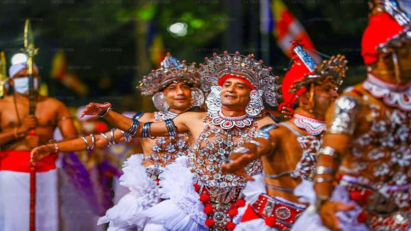 Kandy : Pinnawala Day Tour with Top Rated Local Guide - Price reality: the $13 fare plus the entrances you should budget