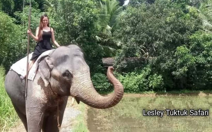 Kandy : Pinnawala Elephant Safari Private Guid Tuk Tuk Tour - Key takeaways before you go