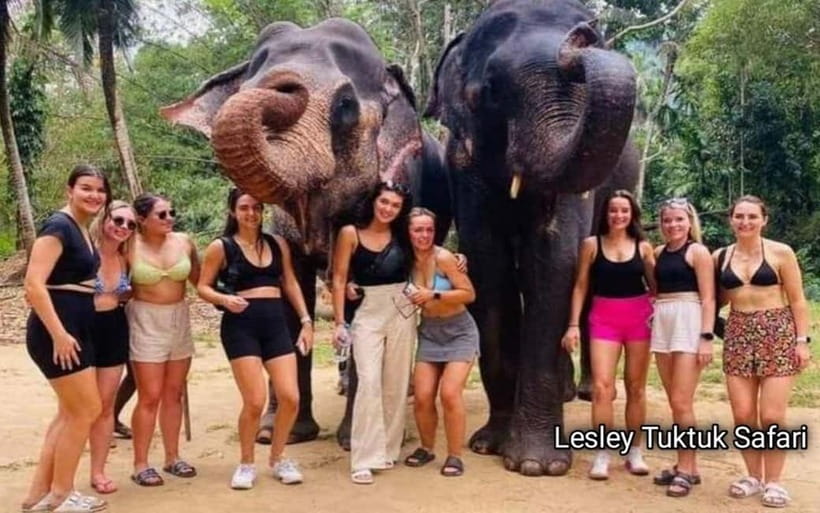 Kandy : Pinnawala Elephant Safari Private Guid Tuk Tuk Tour - A tuk tuk day that mixes big icons with Kandy’s everyday side