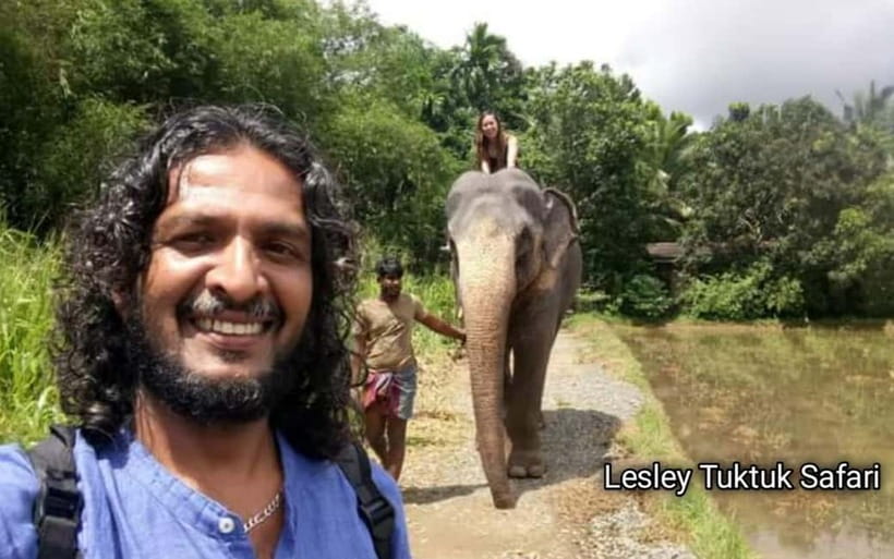 Kandy : Pinnawala Elephant Safari Private Guid Tuk Tuk Tour - Pinnawala Elephant Orphanage: feeding, wading, and respectful viewing