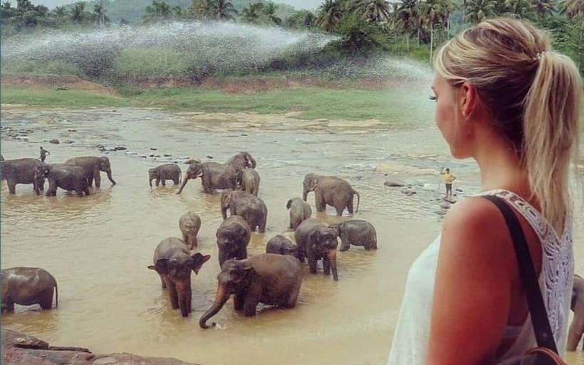 Kandy : Pinnawala Elephant Safari Private Guid Tuk Tuk Tour - Craft, spices, gems, and cultural rhythm in Kandy