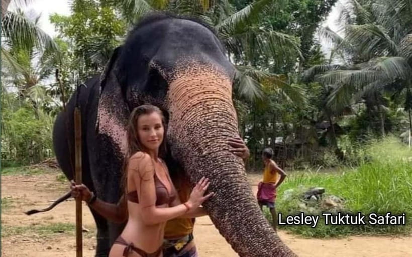 Kandy : Pinnawala Elephant Safari Private Guid Tuk Tuk Tour - Temples in Kandy: Sacred Tooth Relic plus a guided Bahirawakanda stop