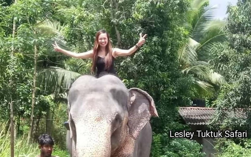 Kandy : Pinnawala Elephant Safari Private Guid Tuk Tuk Tour - How the small group tuk tuk style changes your experience