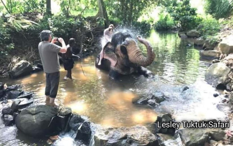Kandy : Pinnawala Elephant Safari Private Guid Tuk Tuk Tour - Getting from Kandy to Pinnawala with a few smart stops