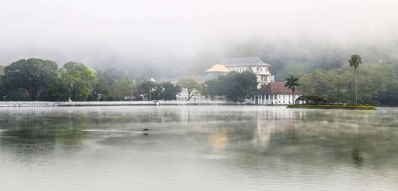 Kandy, Pinnawala Private Day Trip From The West Coast Beach - Lunch and restaurant reality, plan as if it’s average