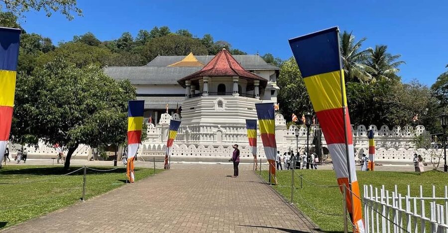 Kandy & Pinnawala & Tea Factory Full Day Tour From Negombo - Temple of the Sacred Tooth Relic: dress, timing, and focus