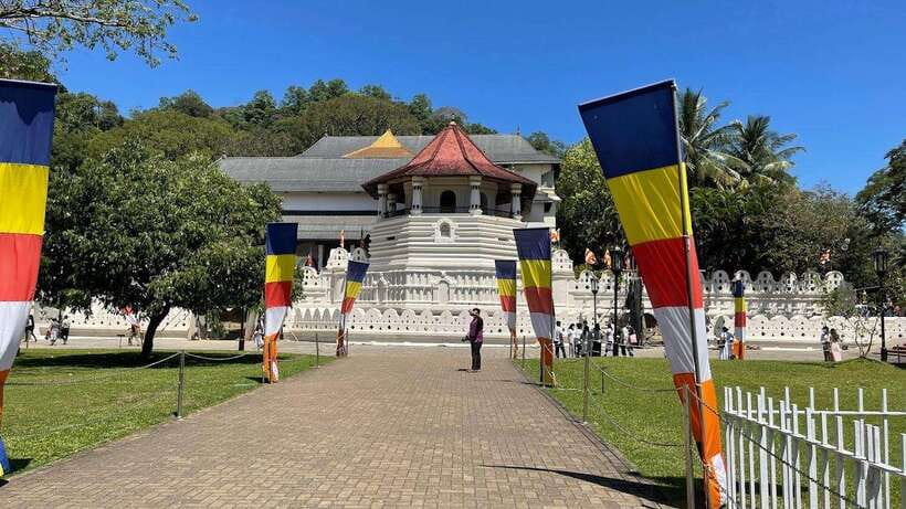 Kandy & Pinnawala & Tea Factory Full Day Tour From Negombo - Why this Kandy and Pinnawala day from Negombo works