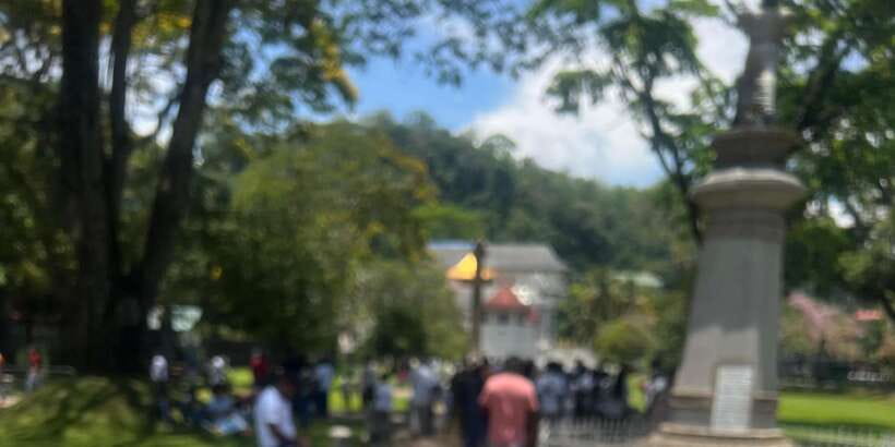Kandy: Private City Highlights Guided Tour by Tuk-Tuk - Tea factory and plantation stops: how Ceylon tea turns into your cup
