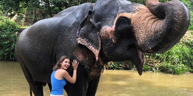 Kandy privet day tour with pinnawala and Tea plantation - Key things to know before you go