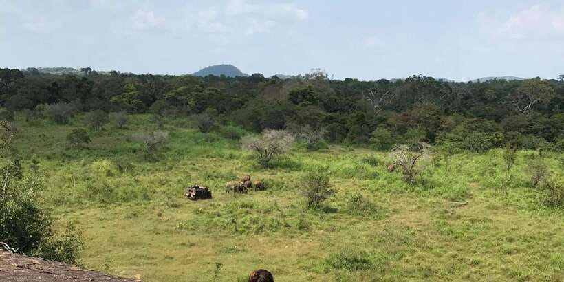 Kandy: Sigiriya, Dambulla & Wildlife Safari Private Tour - Key highlights you should care about