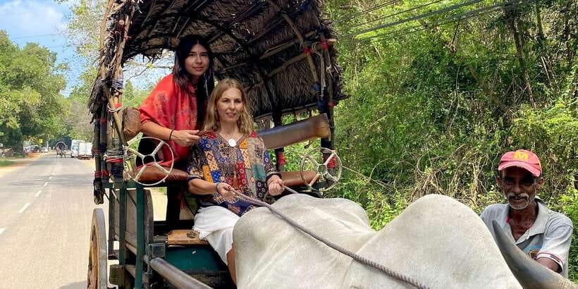 Kandy: Sigiriya, Dambulla & Wildlife Safari Private Tour - Village culture and lunch: where you slow down on purpose