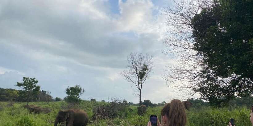 Kandy: Sigiriya, Dambulla & Wildlife Safari Private Tour - Ayurvedic spice garden and Matale Hindu Temple: the brainy side of the day