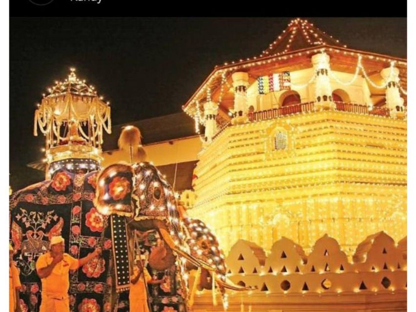 Kandy to Ambuluwawa & Kandy City Guided Tuk Tuk Day Tour - Temple of the Sacred Tooth Relic, ceremony timing, and evening pacing