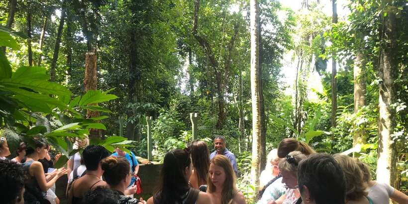Kandy To Ambuluwawa Tower Day Tour - Gems Museum and Kandy City View Point: the skyline moment