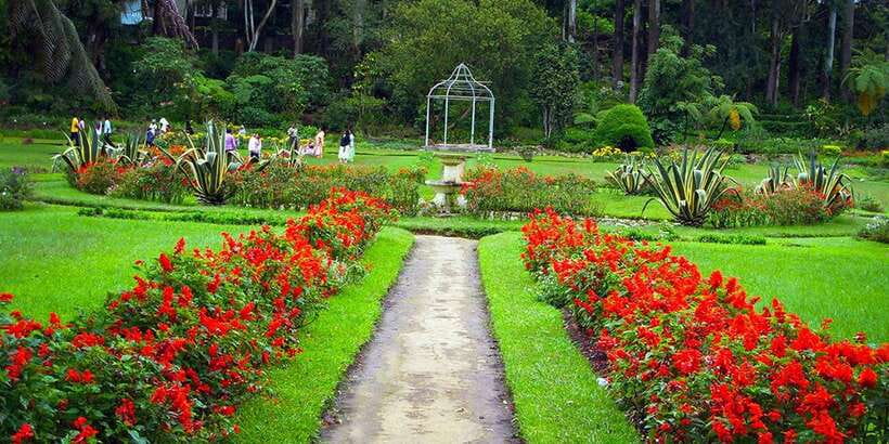 Kandy To Ambuluwawa Tower Day Tour - Big Buddha Statue and Asgiriya Stupa: sacred stops with context