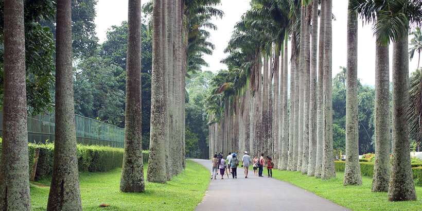 Kandy To Ambuluwawa Tower Day Tour - The Ambuluwawa Mountain ride that sets the tone