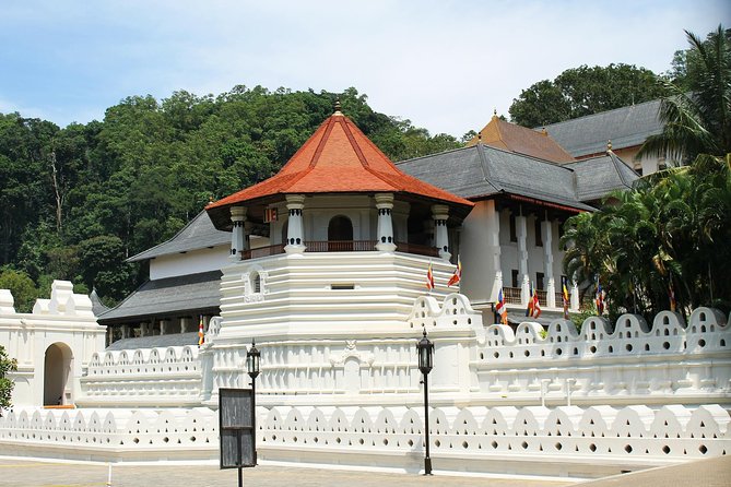 Kandy to Dambulla Cave Temple and Sigiriya - Day Tour - Stop 2 Matale Herbal and Spice Garden: Learn How Spices Are Grown