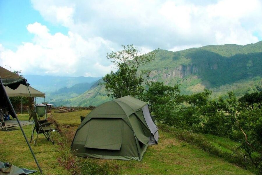 Kandy to Knuckles: Overnight Trekking & Hiking Adventure - Guides and biodiversity: why the Knuckles feel alive on this route