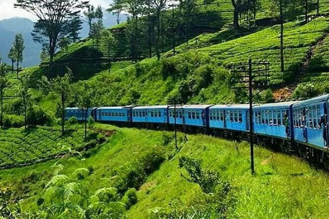 Kandy to Nanu Oya train ride on (Train No: 1005 "Podi Menike") - Key Points to Know Before You Go
