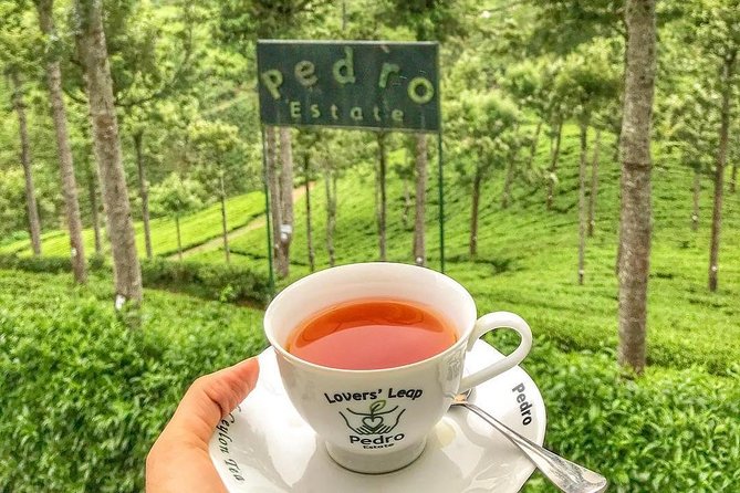 Kandy to Nuwara Eliya Day Tour - Key things to know before you go