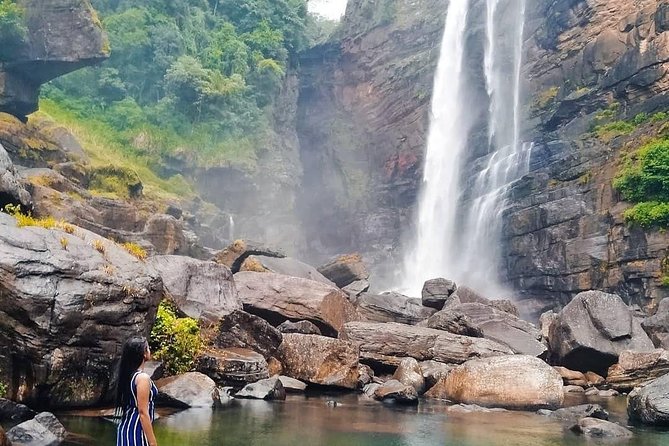 Kandy to Nuwara Eliya Day Tour - Tea plantation visit: where the hills actually make sense