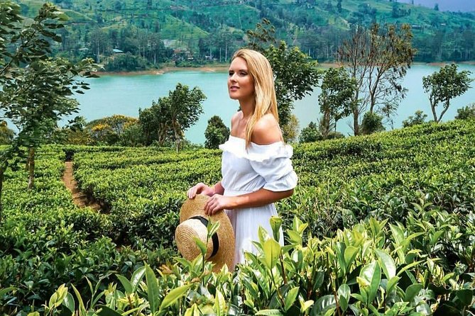 Kandy to Nuwara Eliya Day Tour - Tea factory visit and tea tasting: making Ceylon tea real