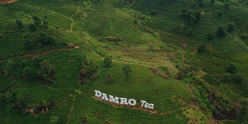 Kandy To Nuwara Eliya Drop Tour - Sri Lanka - Timing, pace, and what the 6 to 8 hours really means for you