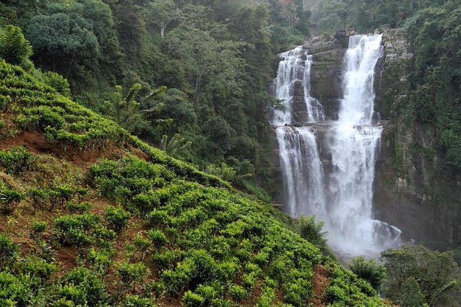 Kandy to Nuwara Eliya Private Day Tour - Key highlights at a glance