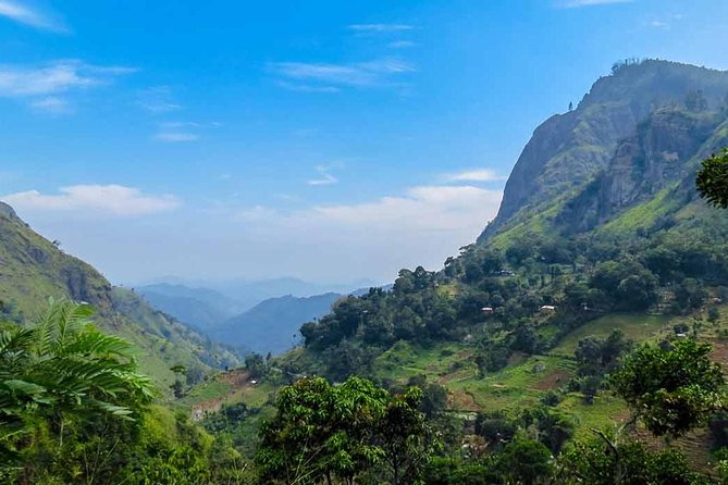 Kandy to Nuwara Eliya Private Day Tour - Why this route beats public transport for tea country
