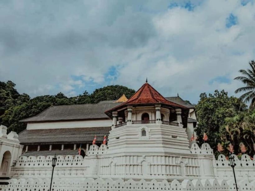 Kandy to Pinnawala Guided Day Tours by Local - Should you book this Kandy and Pinnawala guided day tour?