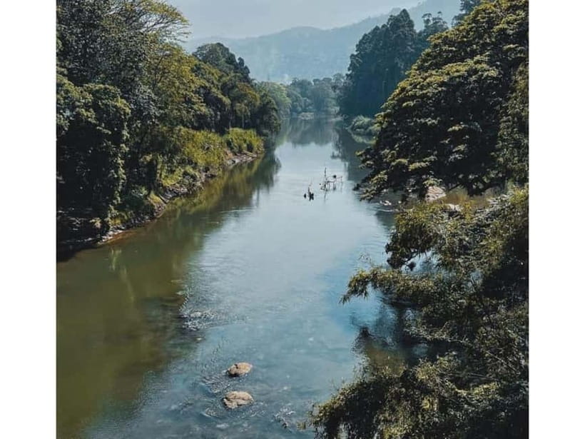 Kandy to Pinnawala Guided Day Tours by Local - Price and value: what you’re really paying for, and where extra fees can appear