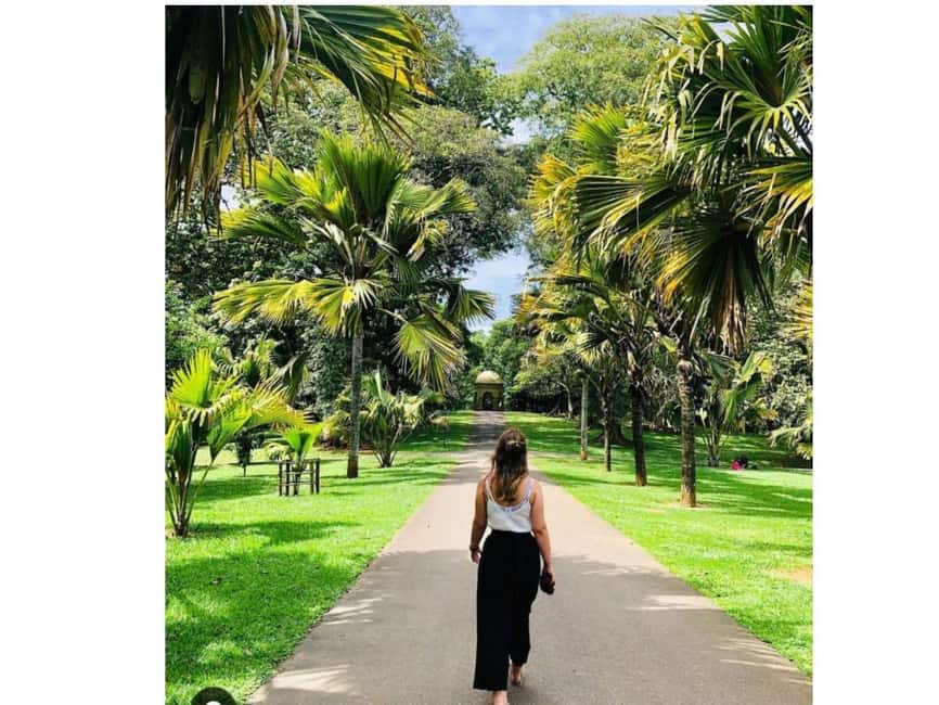 Kandy to Pinnawala Orphanage and Ambuluwawa Guided Day Tour - Cinnamon, Ayurveda, and herbs: a stop that’s more than shopping