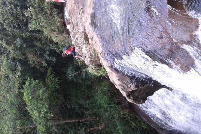 kandy waterfalls day tour - What $61.61 Per Person Really Buys in This Kandy Waterfalls Tour