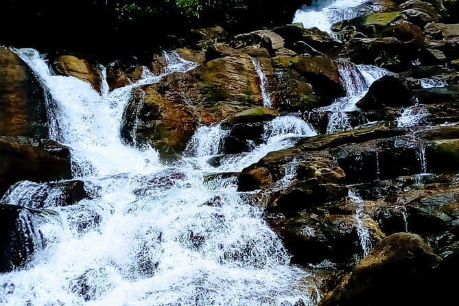 Kanneliya Rain Forest Tour - Kanneliya Rain Forest Tour, the quick hits