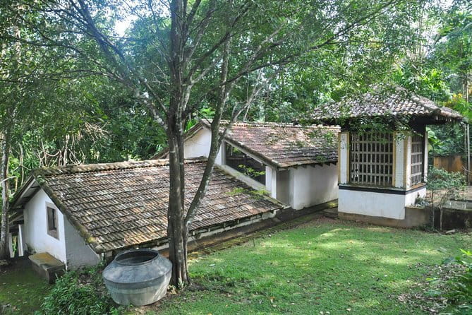 Kanneliya Rain Forest Tour - Spotting monkeys, snakes, chameleons, and birds without guessing