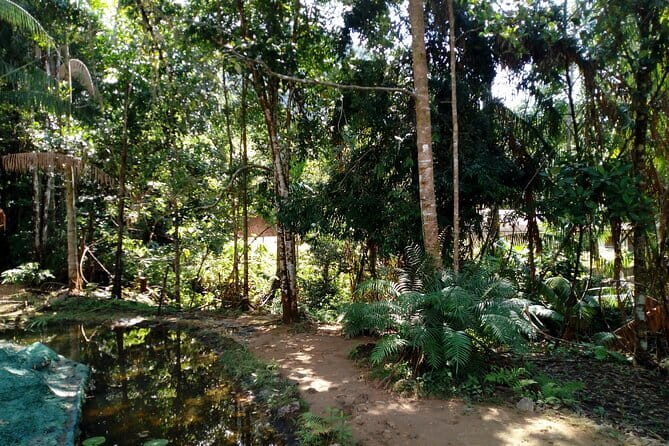 Kanneliya Rain Forest Tour - Price and value: is $95 per person worth it?